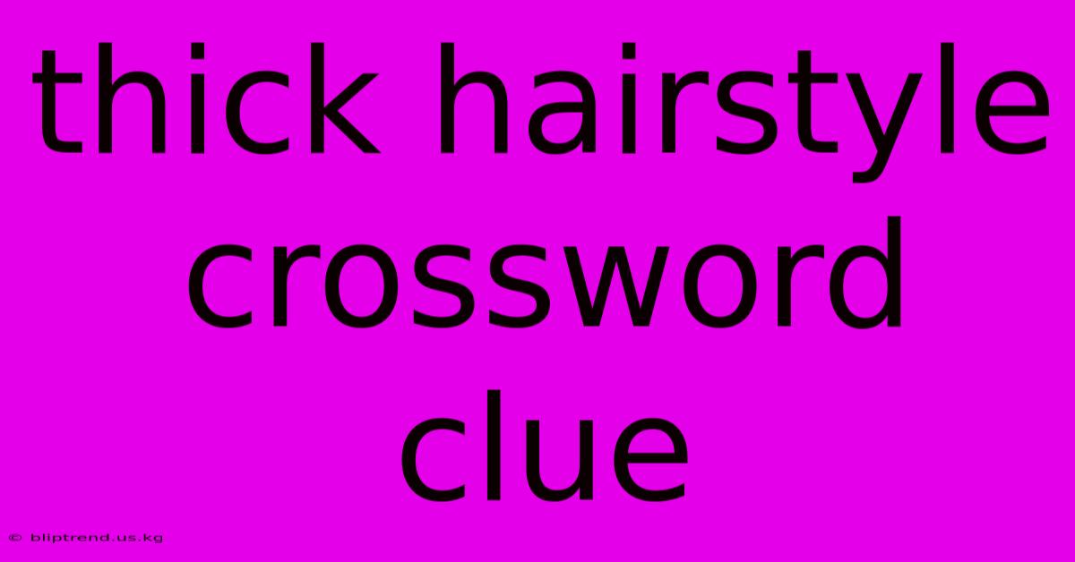 Thick Hairstyle Crossword Clue