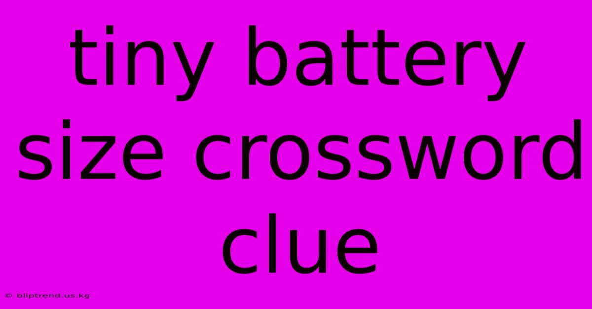 Tiny Battery Size Crossword Clue