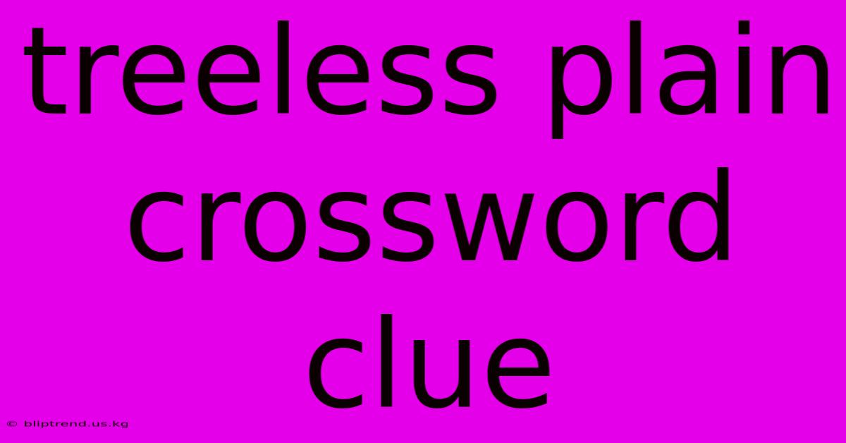 Treeless Plain Crossword Clue