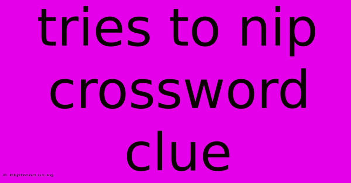 Tries To Nip Crossword Clue