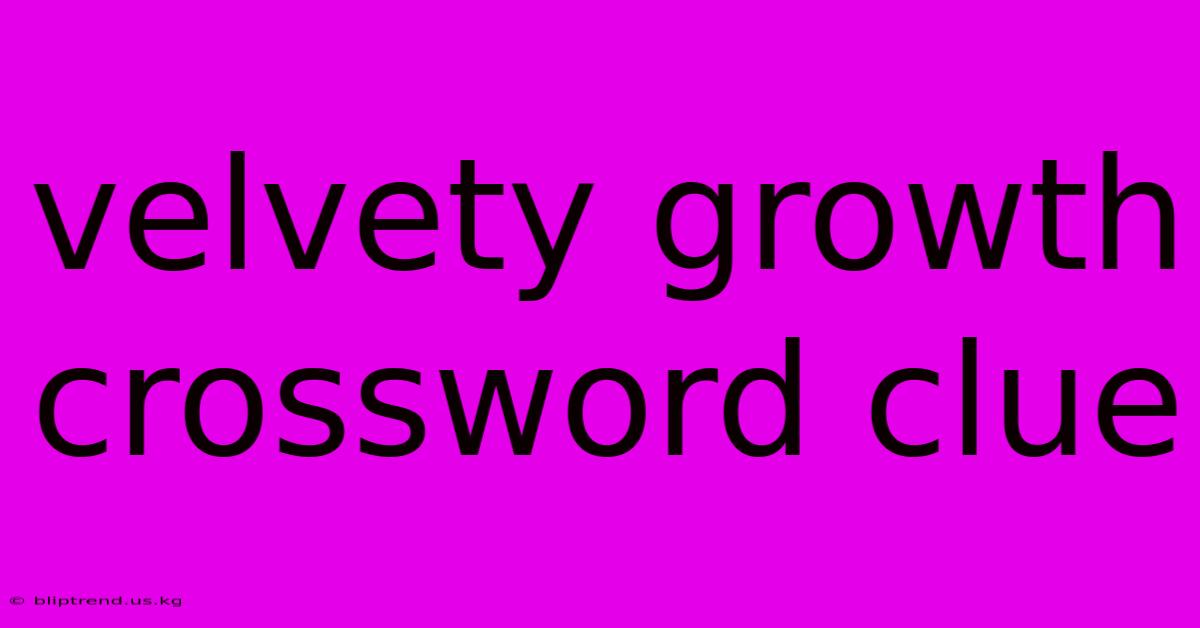 Velvety Growth Crossword Clue