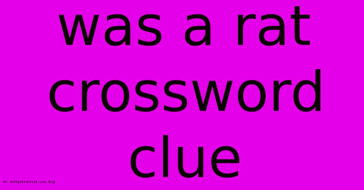 Was A Rat Crossword Clue