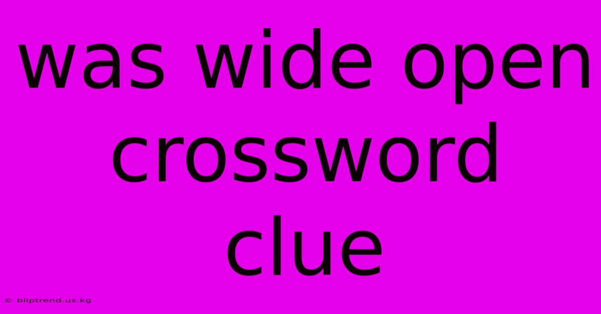 Was Wide Open Crossword Clue