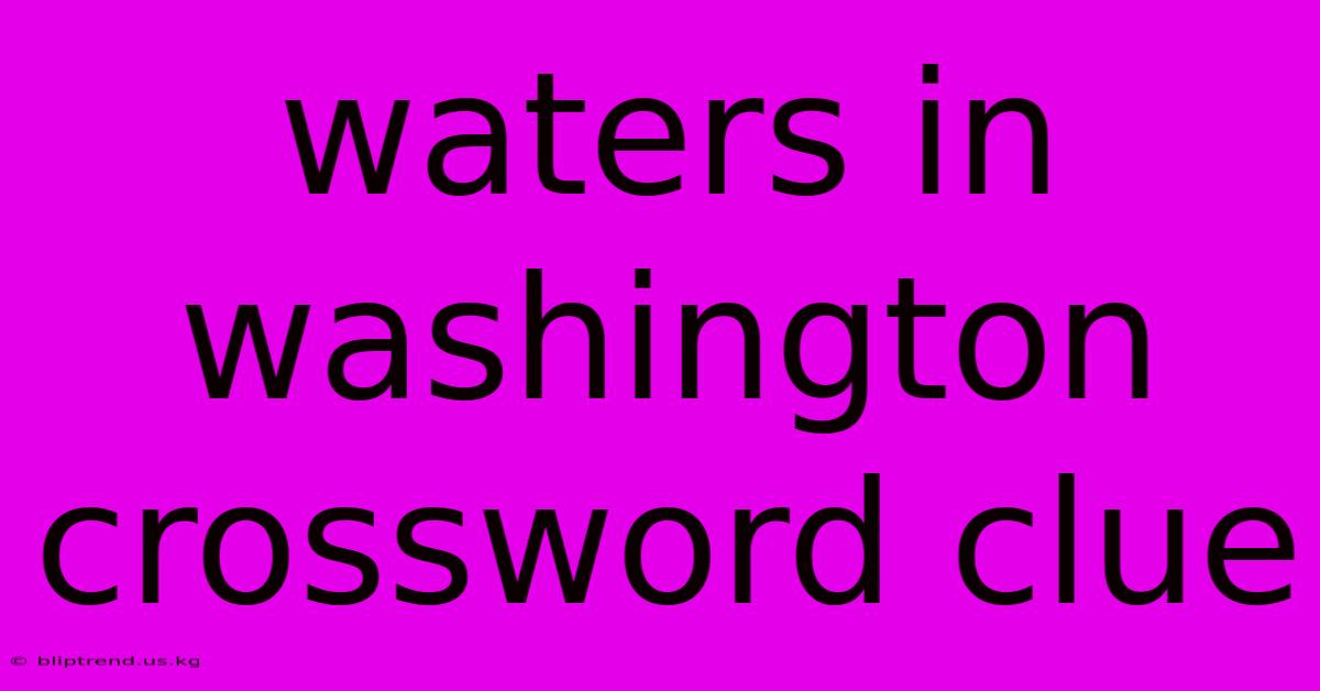 Waters In Washington Crossword Clue