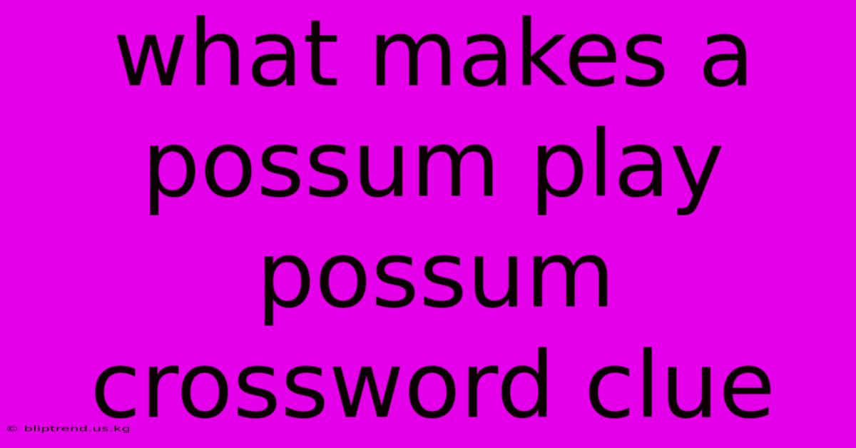 What Makes A Possum Play Possum Crossword Clue