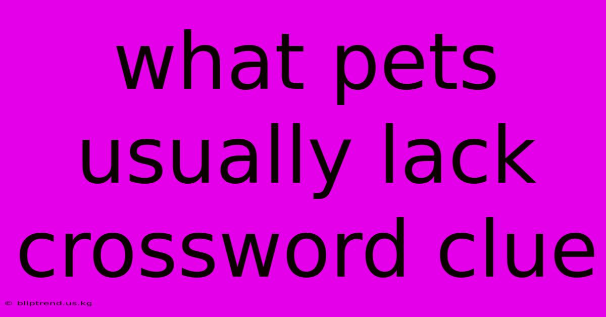 What Pets Usually Lack Crossword Clue