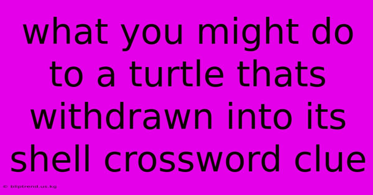 What You Might Do To A Turtle Thats Withdrawn Into Its Shell Crossword Clue