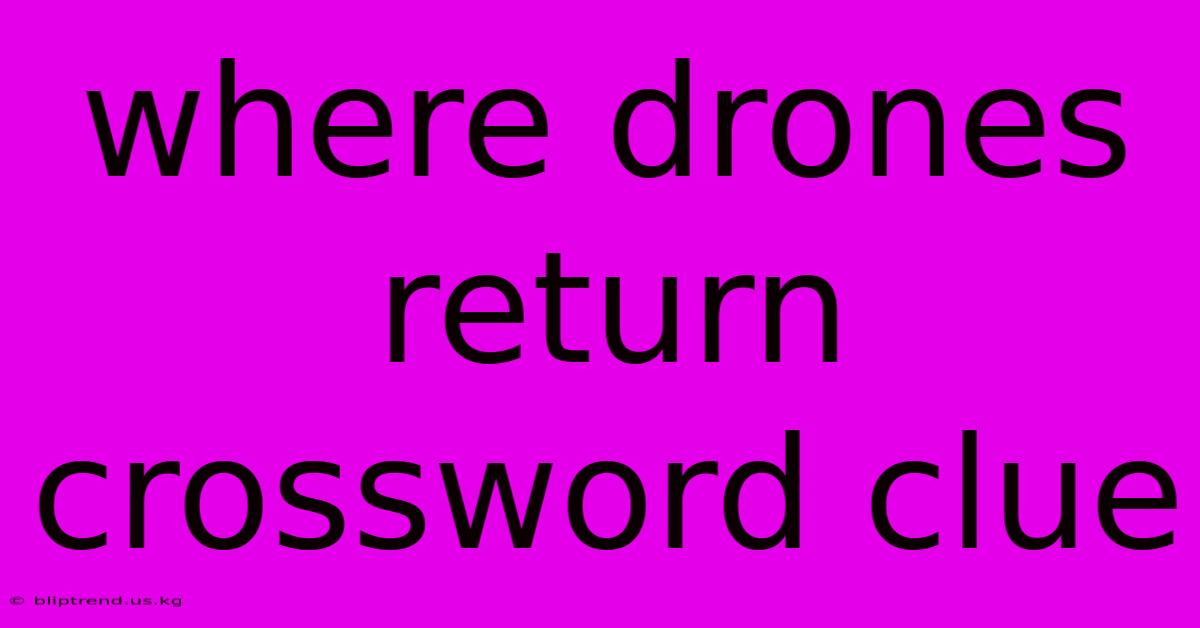 Where Drones Return Crossword Clue