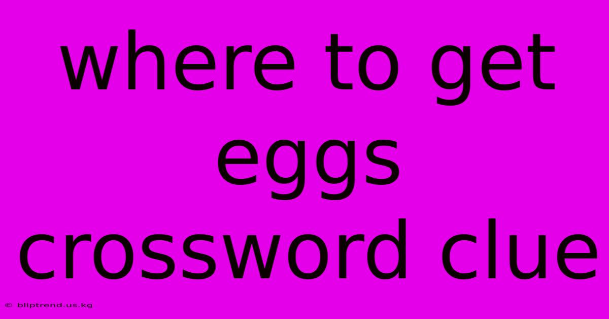 Where To Get Eggs Crossword Clue