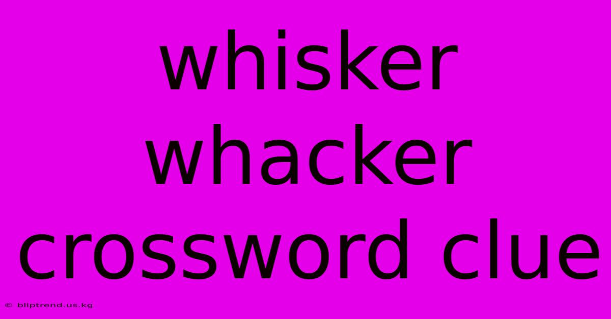 Whisker Whacker Crossword Clue