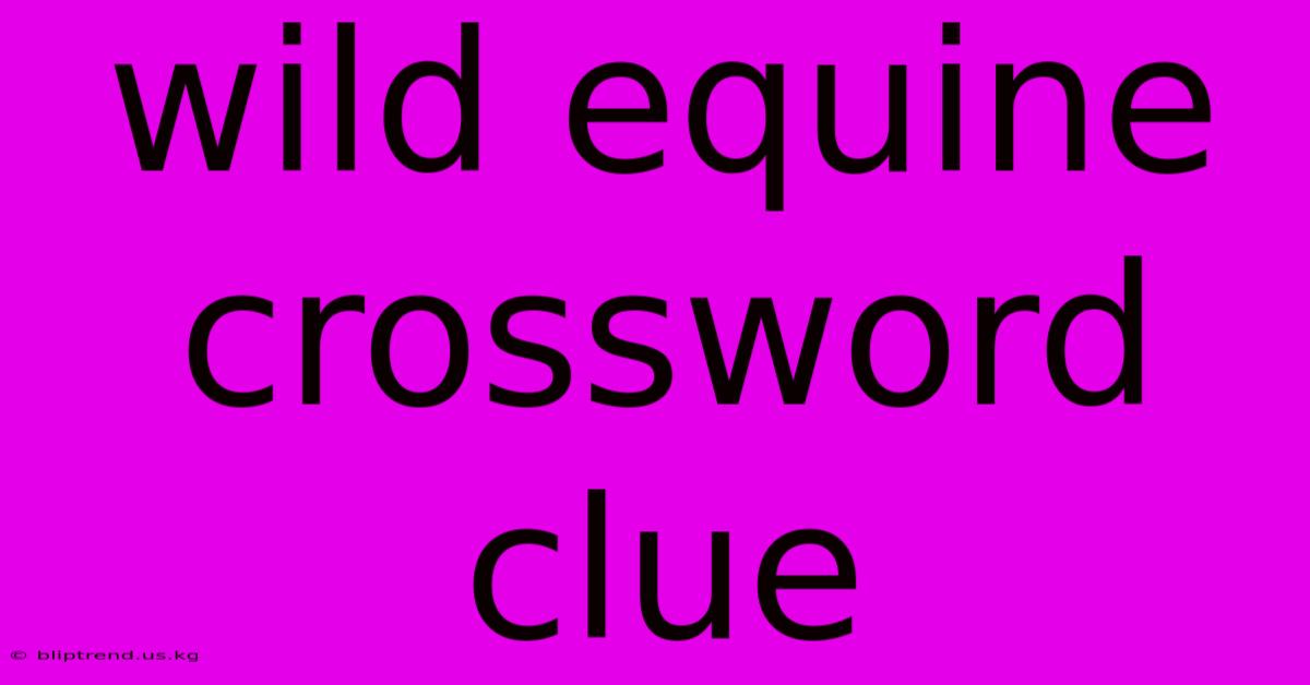 Wild Equine Crossword Clue